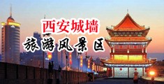 黑人0干逼网中国陕西-西安城墙旅游风景区