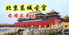美女淫荡大屌无遮挡中国北京-东城古宫旅游风景区